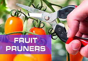 Fruit Pruners