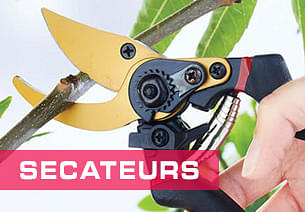 Secateurs