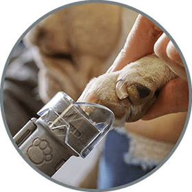 Dremel Pet Nail Grooming Kit (7020-PGK) Rotary Multi Tools