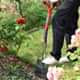 Spear and Jackson 1190EL Select Stainless Steel Digging Spade