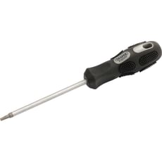 Draper Expert Security Torx Screwdriver