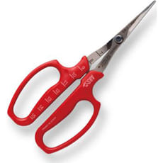 ARS 321DX-M Angled Grape Harvesting Scissors