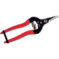 ARS 300SS Short Blade Fruit Pruner