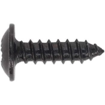 Self Tapping Flange Head Pozi Screws Black
