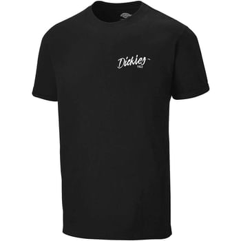 Dickies Mens Lucas T Shirt
