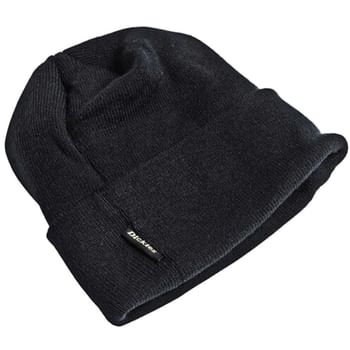 Dickies Thinsulate Watch Cap