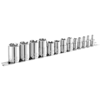 Expert by Facom 13 Piece Combination Drive Torx Socket Set Metric