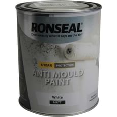 Ronseal 6 Year Anti Mould Aerosol