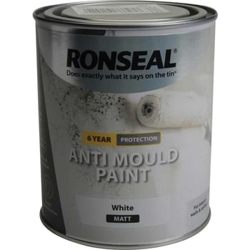 Ronseal 6 Year Anti Mould Aerosol