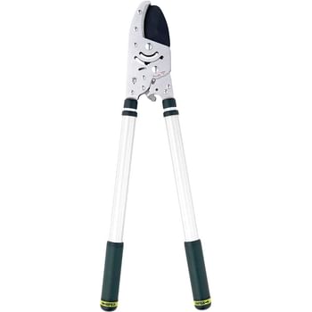 Kew Gardens Telescopic Ratchet Anvil Loppers