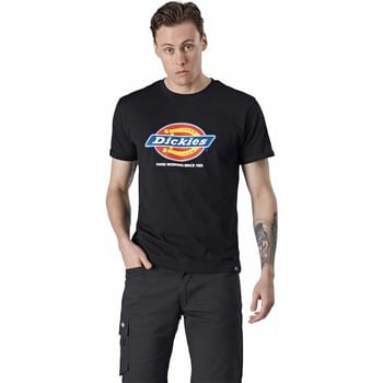 Dickies Denison T Shirt