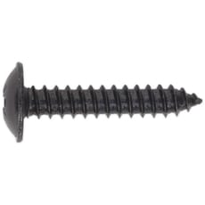 Self Tapping Flange Head Pozi Screws Black